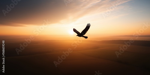 A large hawk flying high in the sky at sunrise