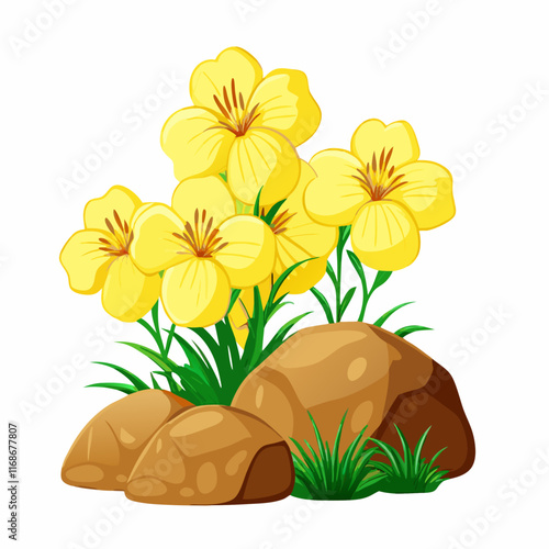 Pretty flowers and rocks on white background vector illustration (4)