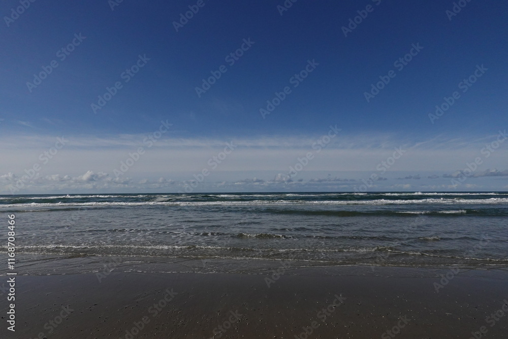 Texel island with the sea Texel island with the sea