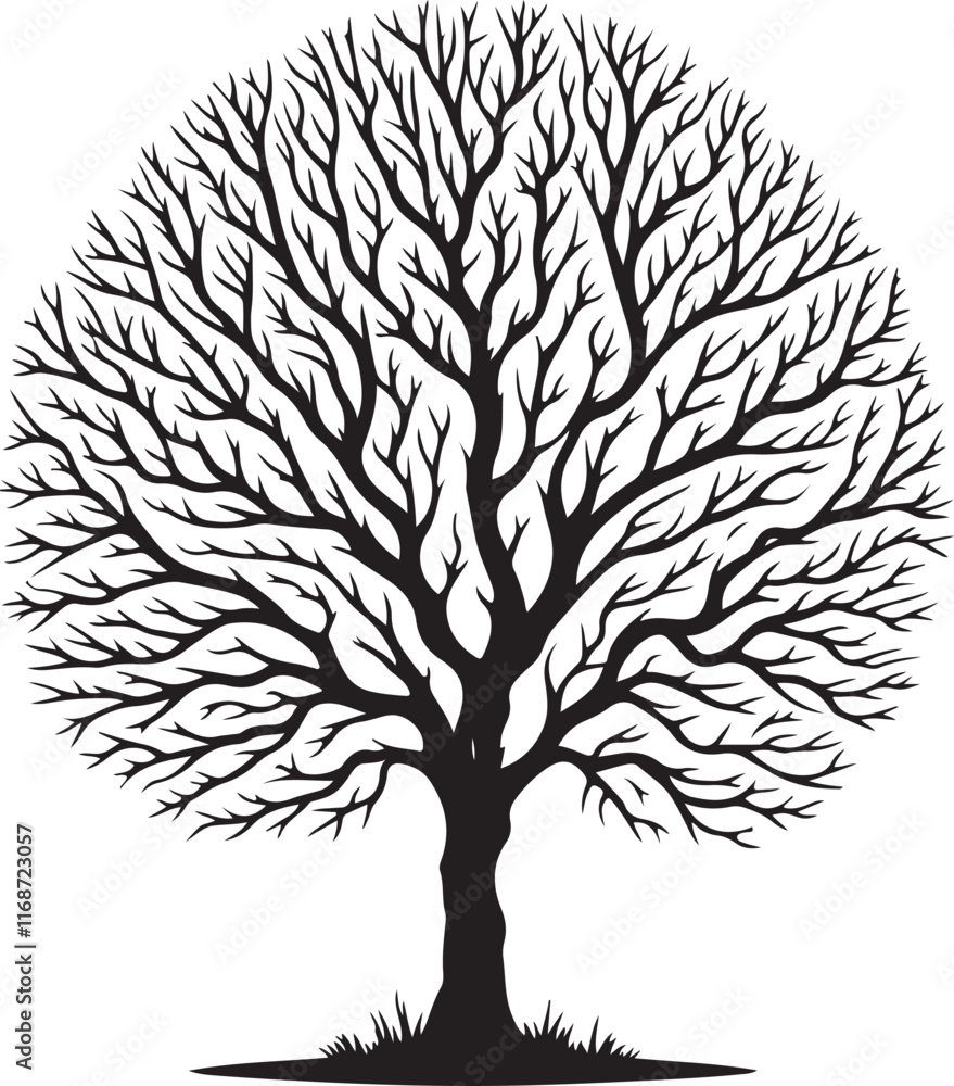 Obraz premium Vector art illustrations of a leafless tree silhouette 