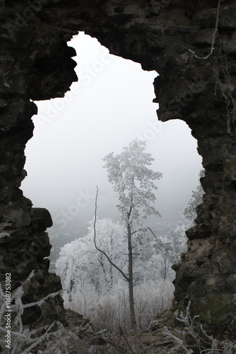 
View through the ruins of the castle to the winter forest in the Carpathians