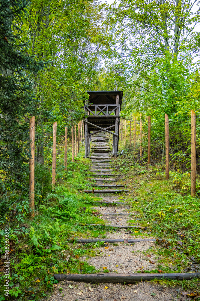A guard tower overlooks the staircase leading up through dense greenery at the former labor camp Svornost in Jachymov, Czechia, evoking a sense of historical significance. A guard tower overlooks the staircase leading up through dense greenery at the former labor camp Svornost in Jachymov, Czechia, evoking a sense of historical significance.
