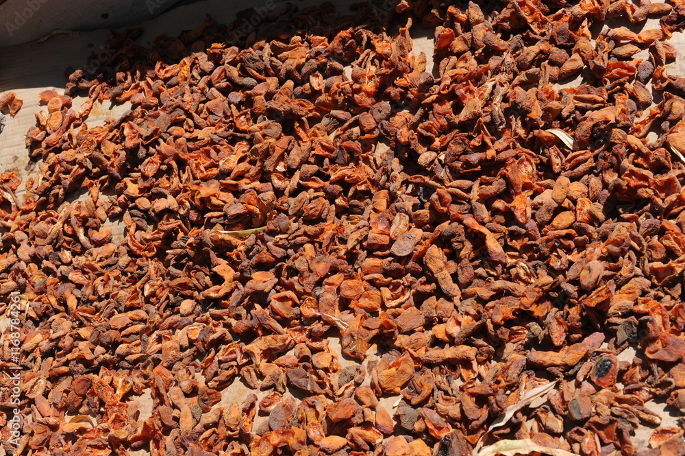 Apricots drying in the sun on a roof on a sunny day. Delicious natural sun dried food and fruits. Apricots drying in the sun on a roof on a sunny day. Delicious natural sun dried food and fruits.