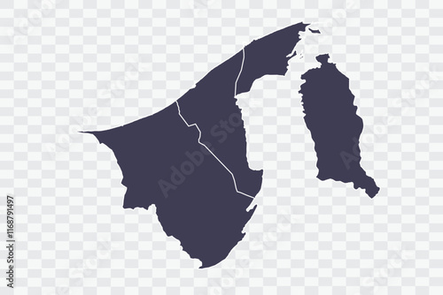Brunei Darussalam Map Slate Color on White Background quality files Png