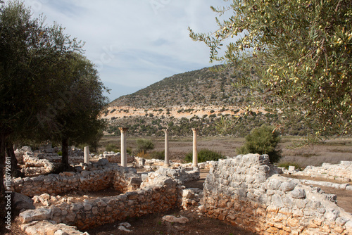 Andriake ancient city ruins and columns with an olive tree infront photo