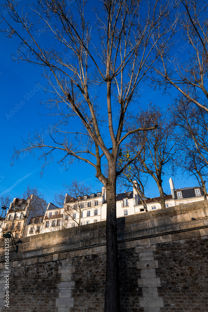 Obraz premium Les quais de Seine en hiver un jour de soleil dans la ville de Paris en France