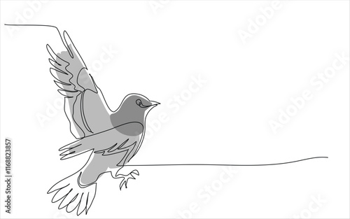vector line art of colibri wall art design, minimal bird line logo icon illustration isolated on white background