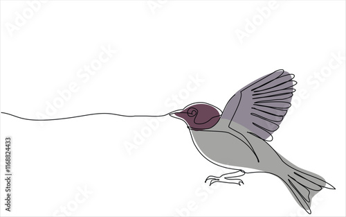vector line art of colibri wall art design, minimal bird line logo icon illustration isolated on white background