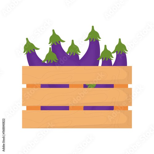 vector collection of eggplant fresh from farming products in wooden crates