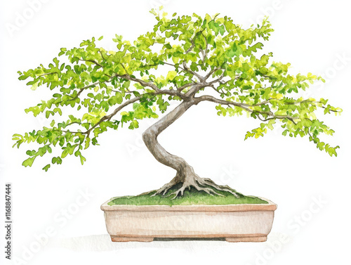 Watercolor bonsai tree with vibrant green leaves in pot