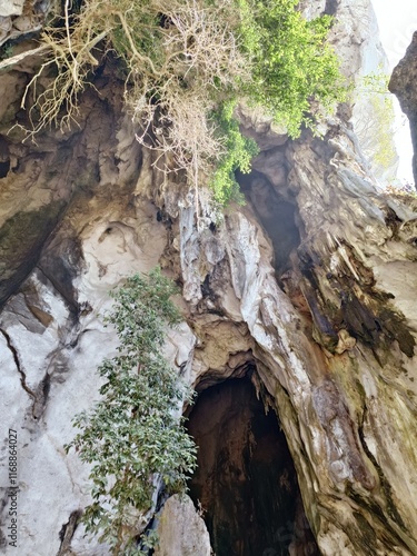 The entrance to the ancient cave has trees growing naturally in Thailand.
