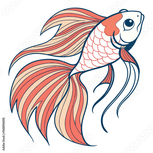 Vector Siamese fighting fish Isolated, Isolated, Animals, Editable