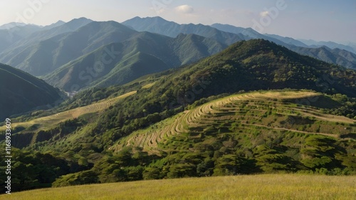 landscape around Shiga kougen platea, Japan

 photo