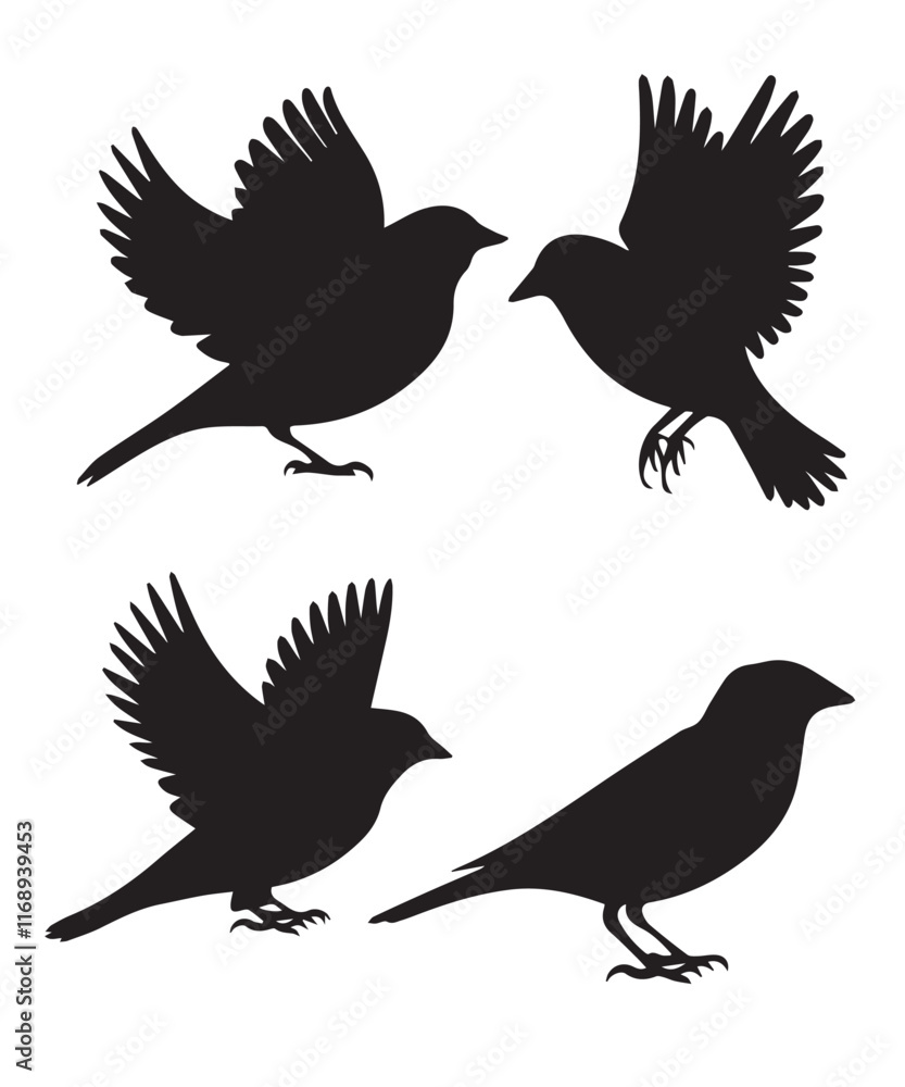 Fototapeta premium Bird Silhouettes Collection Different Sparrow Flying Positions