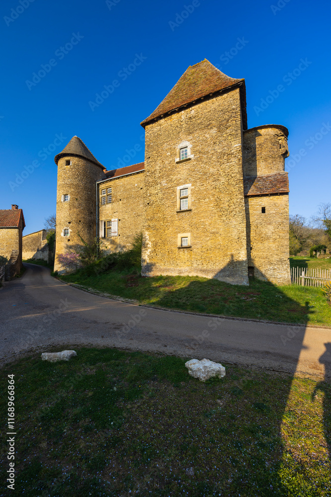 Φωτογραφία Chateau de Bissy-sur-Fley too Chateau de Pontus de Tyard, Bissy-sur-Fley, Burgun