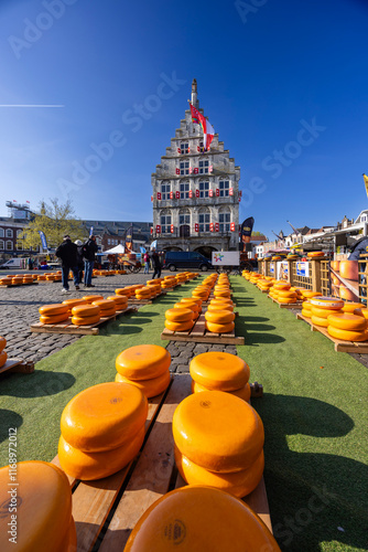 the town hall in the Netherlands and cheeses standing in front of it