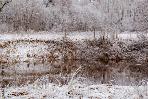 Tiny first snow scenery at the river Liela Jugla in Zakumuiza on a cloudy day in January in Latvia photo