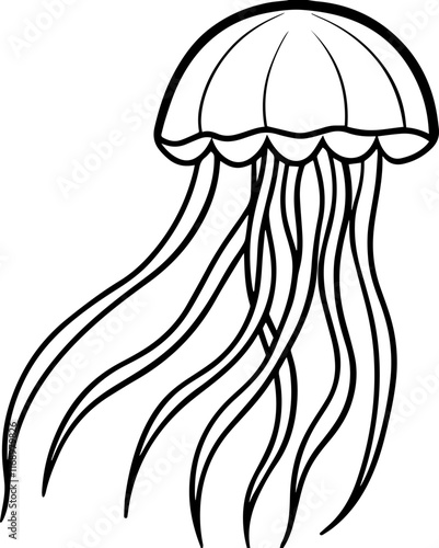 jellyfish outline vector illustration