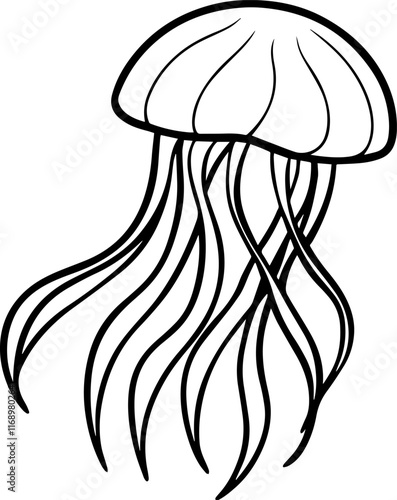 jellyfish outline vector illustration