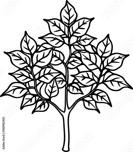 holy basil tree silhouette vector illustration