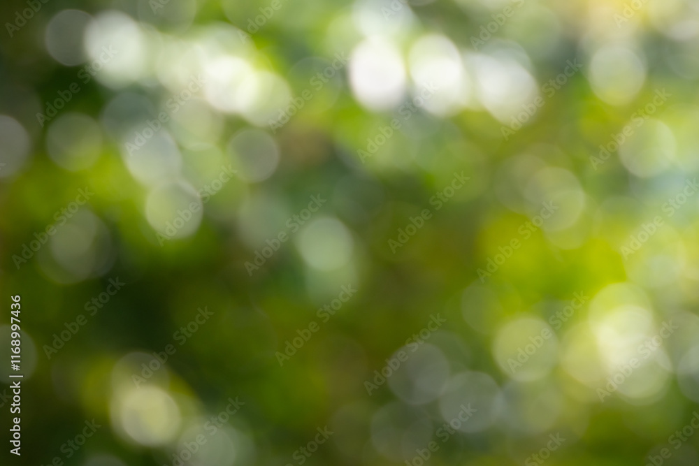 beautiful abstract image of a green bokeh background. The soft, out-of-focus circles create a dreamy and ethereal atmosphere. beautiful abstract image of a green bokeh background. The soft, out-of-focus circles create a dreamy and ethereal atmosphere.