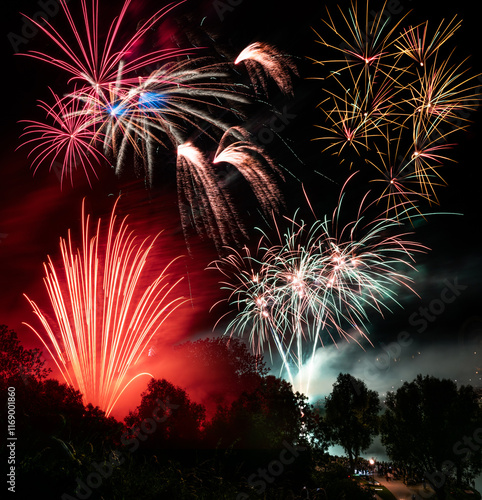 Obraz na płótnie Firework display at a festival w salonie
