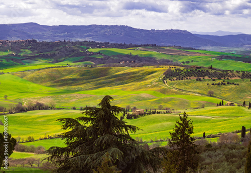 Tapety artystyczne val da orcia
