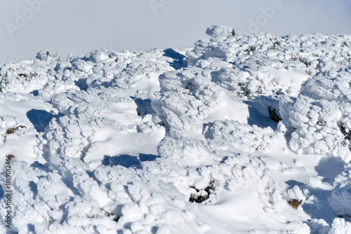 Snowy patterns shaped by winds photo