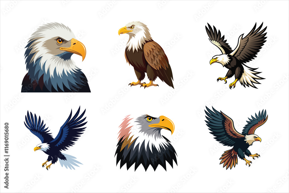 Fototapeta premium Bald eagle design, labeled vector art illustration.