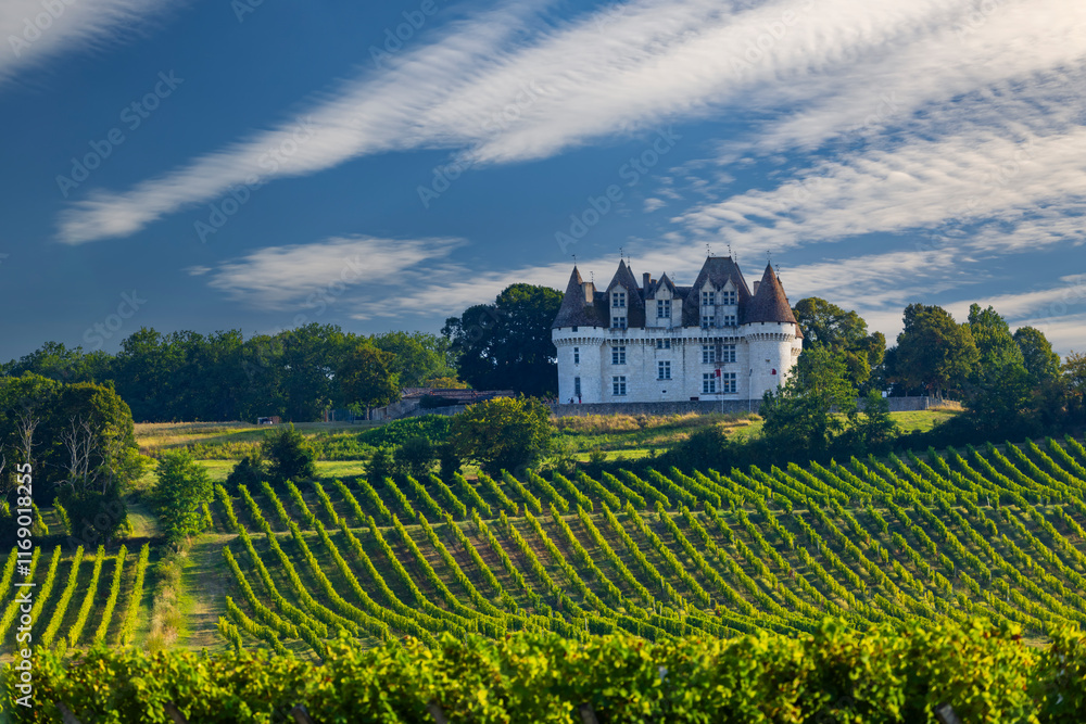 Chateau Monbazillac ( Monbazillac castle) with vineyards, Aquitaine, France