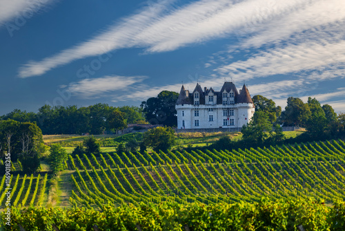 Obraz na płótnie Chateau Monbazillac ( Monbazillac castle) with vineyards, Aquitaine, France w salonie