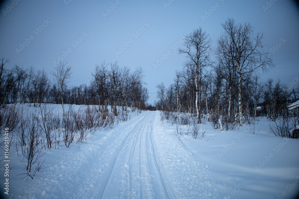 Winter wonderland in Swedish Lapland. Winter landscape from Kiruna, Luossuvaara area.