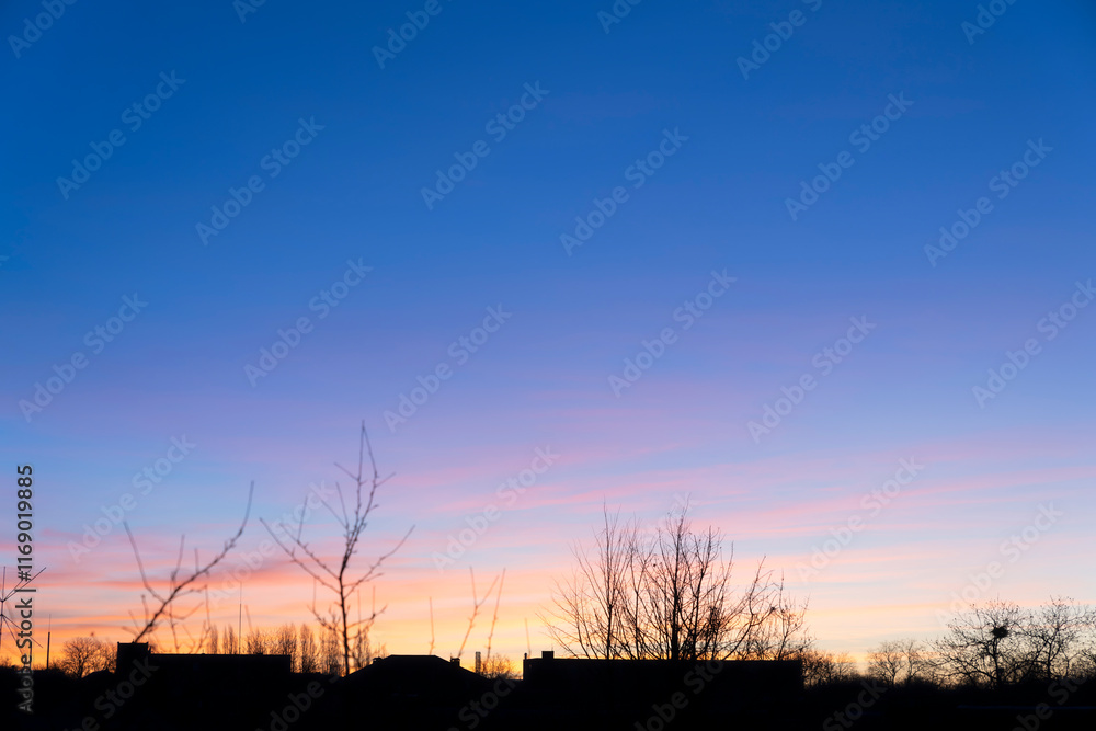 Fototapeta premium Sunrise. Silhouette of city buildings and bare tree branches at sunset with vibrant gradient sky. Landscape photography.