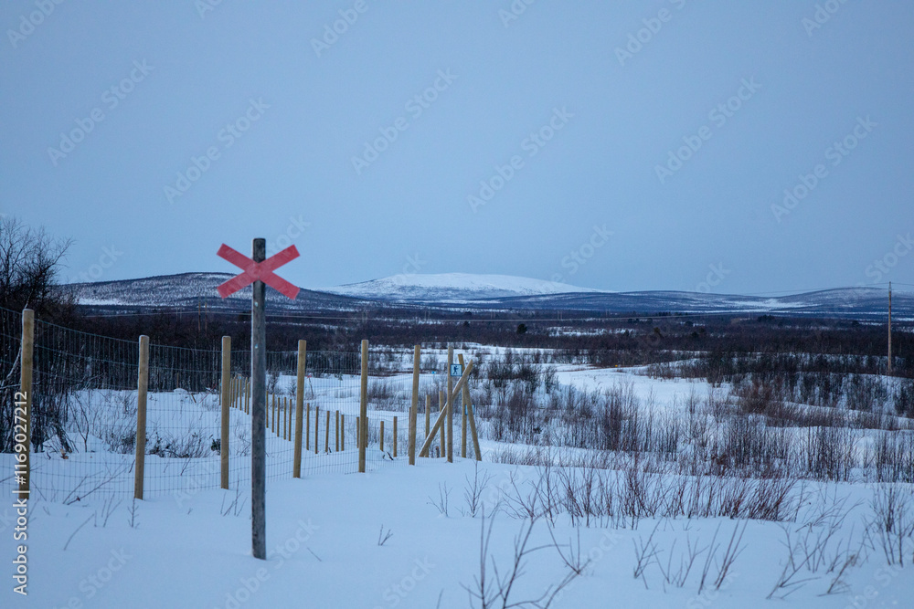 Fototapeta premium Winter wonderland in Swedish Lapland. Winter landscape from Kiruna, Luossuvaara area.