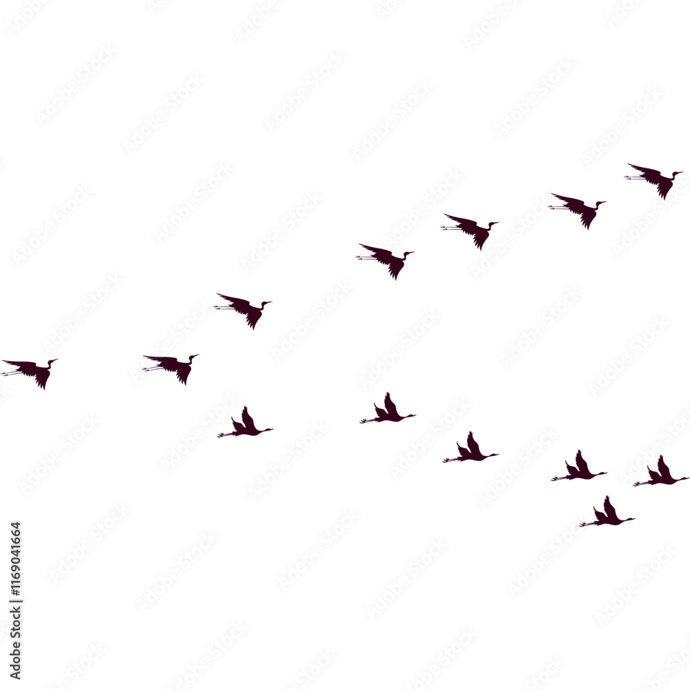 Obraz premium Flock of Birds Flying