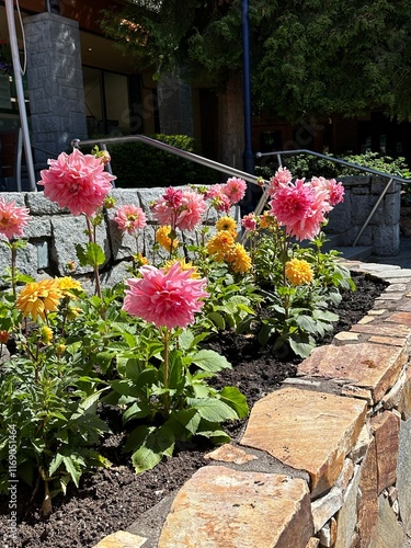Garden of pink and yellow wildflowers