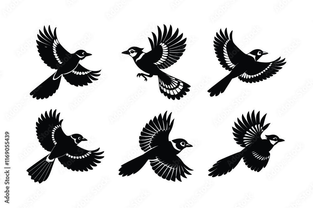 Obraz premium blue jay silhouette vector illustration