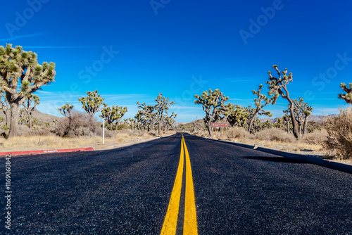 Obraz na płótnie Straight empty road in Mojave National Preserve , California , USA