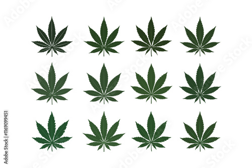 Set of Detailed Cannabis Leaf Silhouettes