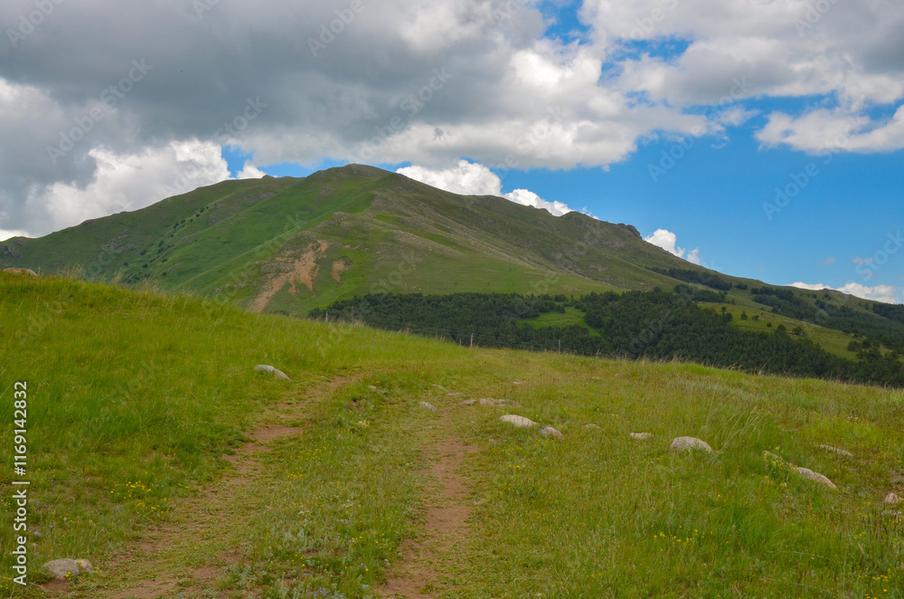 Fototapeta premium Tsilkar mountain and Pambak mountain range scenic view from Spitak Pass (Aragatsotn province, Armenia)