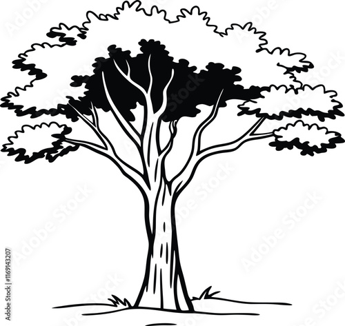 black and white silhouette of tree