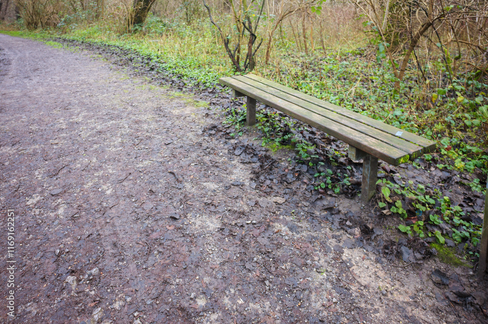 Empty bench inviting hikers to rest along muddy trail in lush forest Empty bench inviting hikers to rest along muddy trail in lush forest