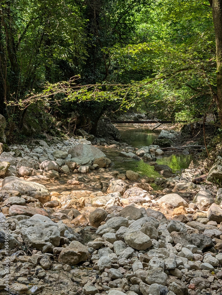 River water flows slowly between rocks illuminated by the warm rays of the sun River water flows slowly between rocks illuminated by the warm rays of the sun