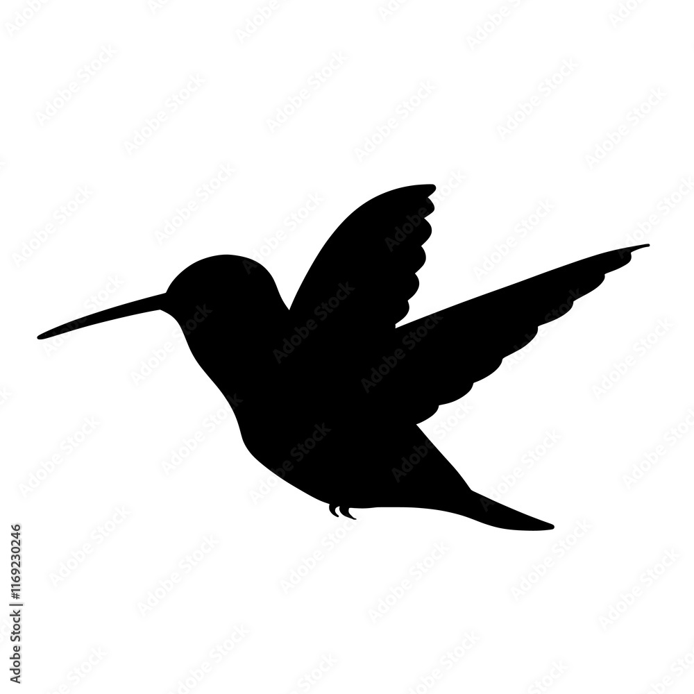 Obraz premium Hummingbird Silhouette Vector Illustration