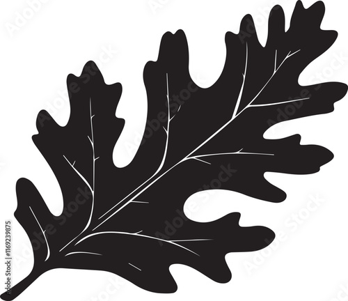 Oak leaf silhouette black graphic vector