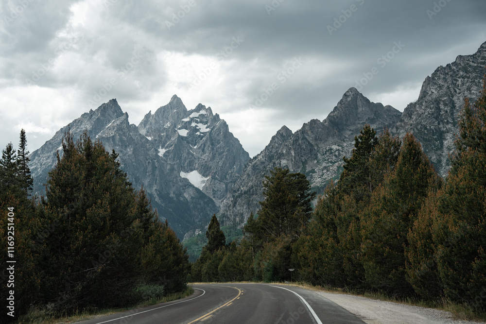 Fototapeta premium road to the mountains