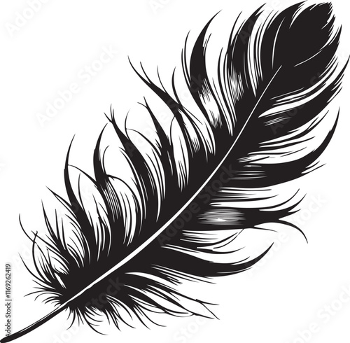 feather illustration