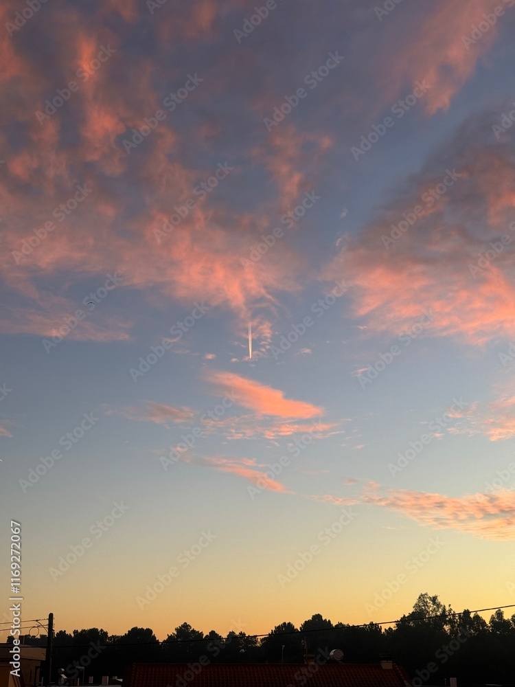 Fototapeta premium sunset in the city