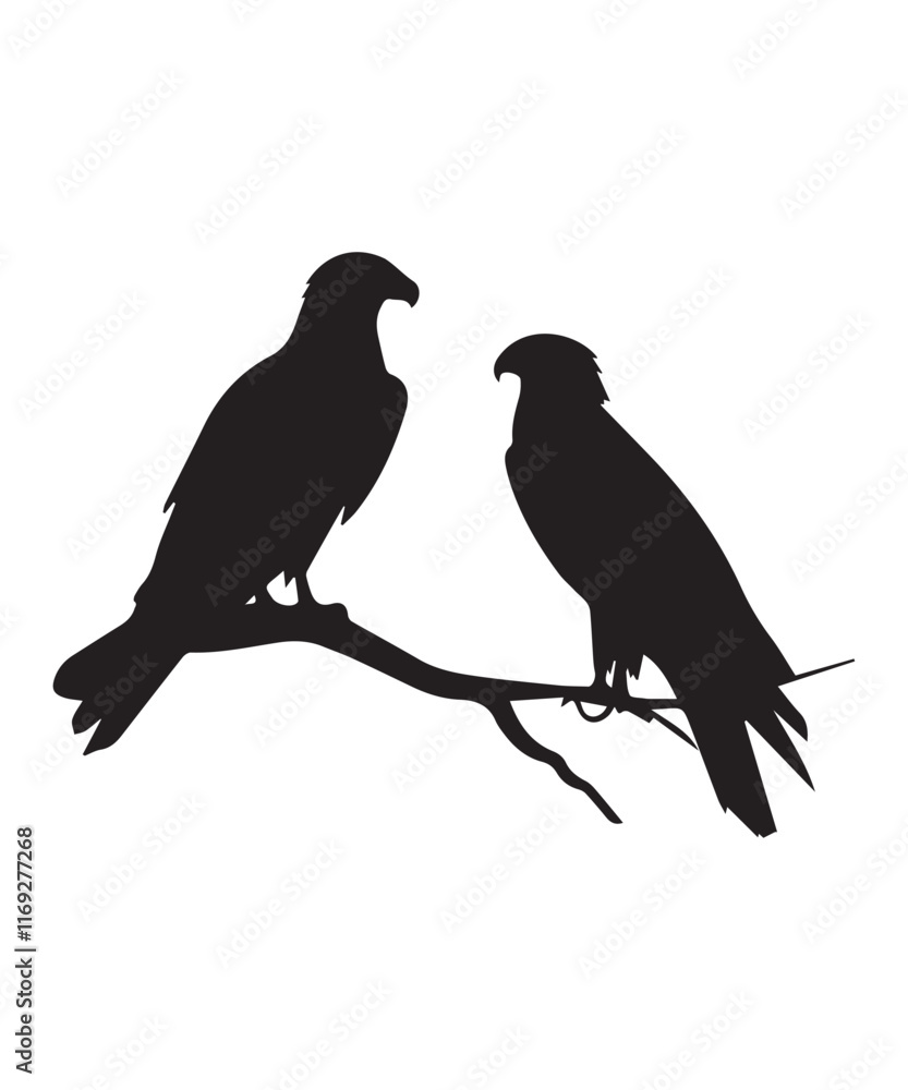 Fototapeta premium Black Bird of Prey Silhouettes Featuring Eagles and Falcons in Dynamic Poses