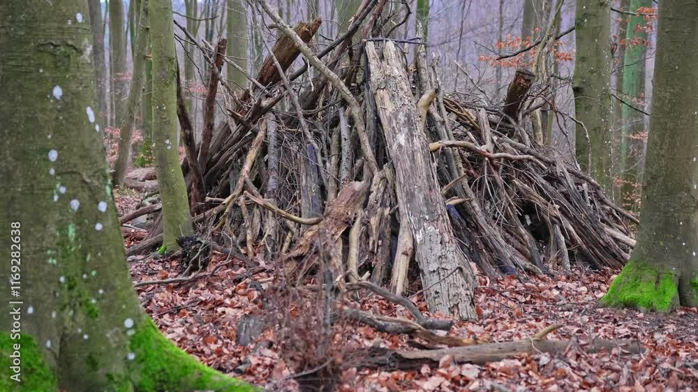 Improvised Shelter Hut Built in Forest by Bushcraft Enthusiast Survivalist using Branches and Leaves Improvised Shelter Hut Built in Forest by Bushcraft Enthusiast Survivalist using Branches and Leaves